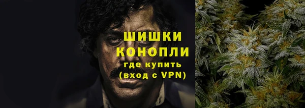 шишки Володарск