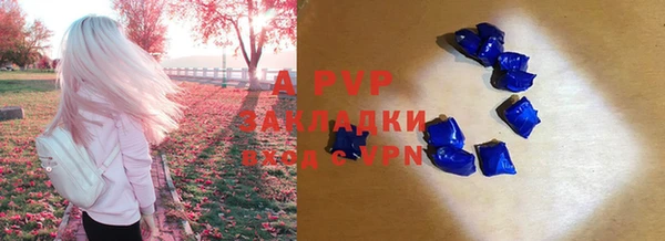 шишки Володарск