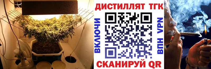 магазин    Петухово  Дистиллят ТГК Wax 